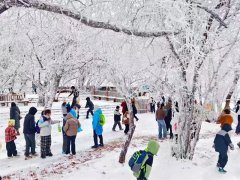 省文化和旅游厅部署...