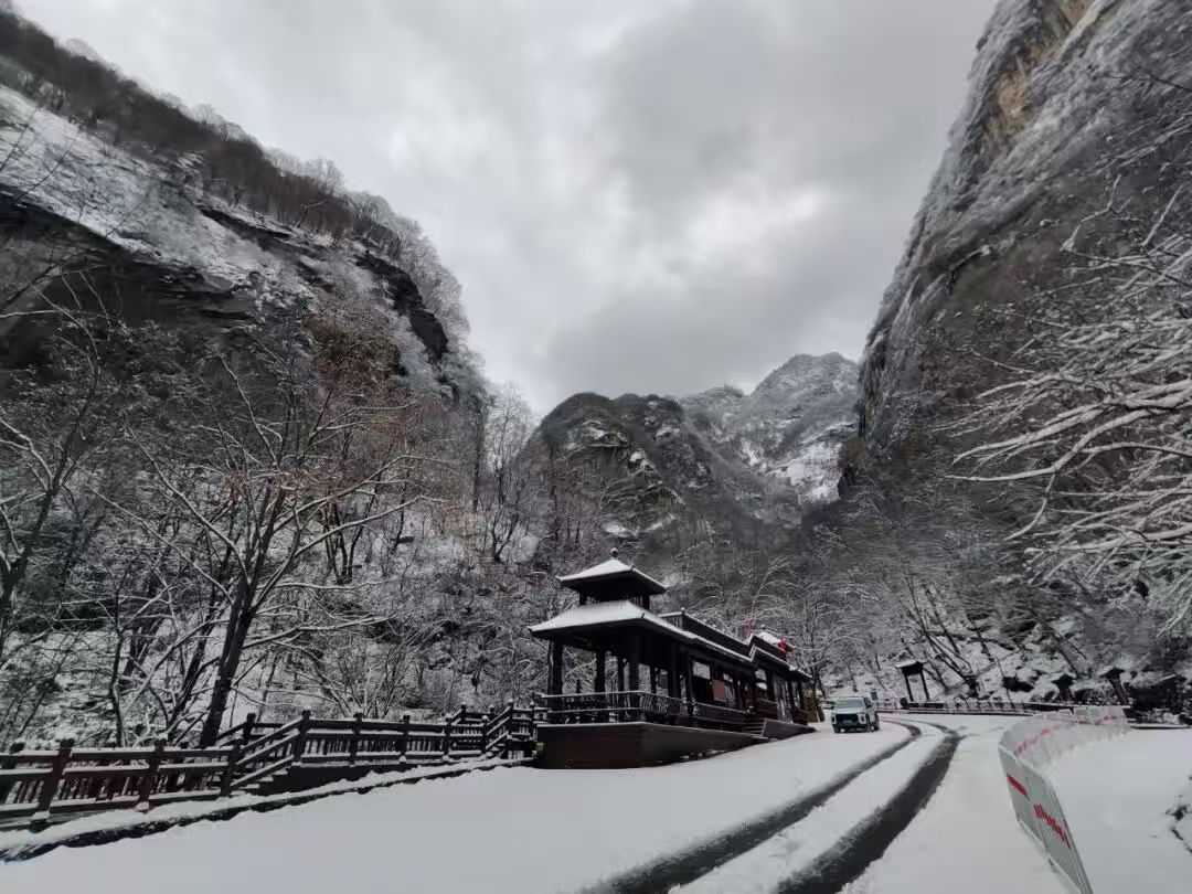 突发大雪致游客...
